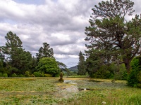 Powerscourt House & Gardens